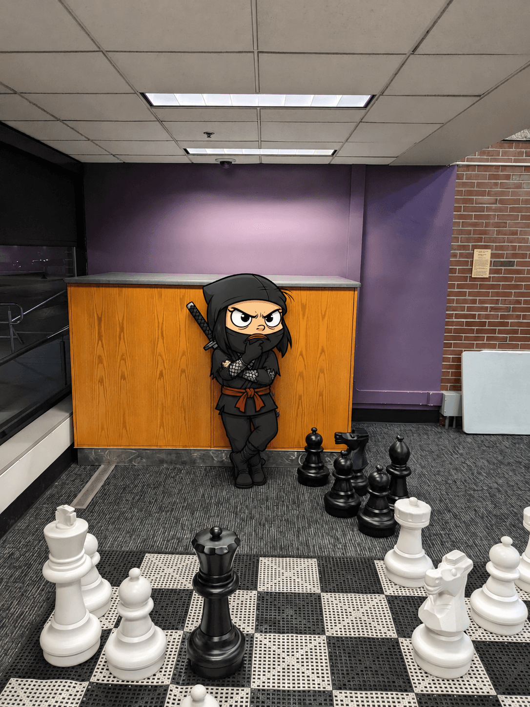 Grumpy Ninja photo