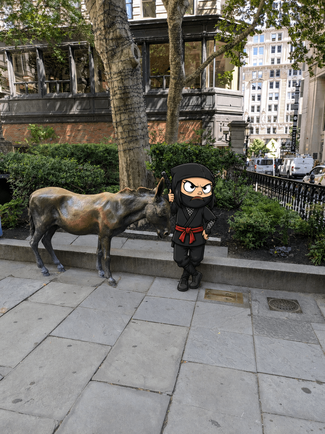 Grumpy Ninja photo